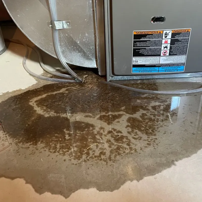 Pipe Burst and Leak Restoration in Andrews, IN