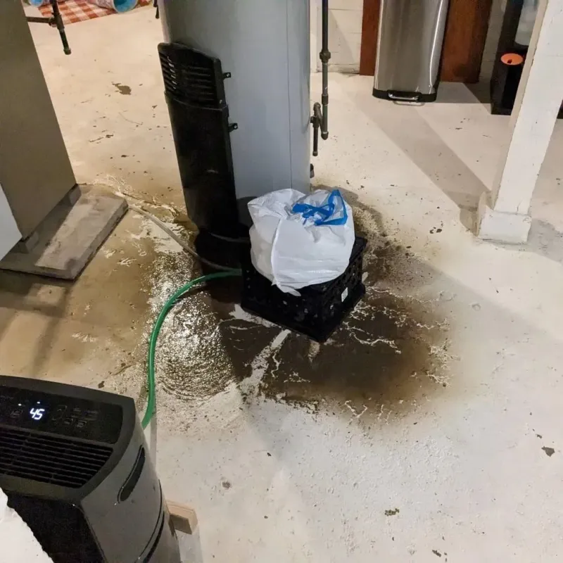 Sewage Backup Cleanup Service in Andrews, IN